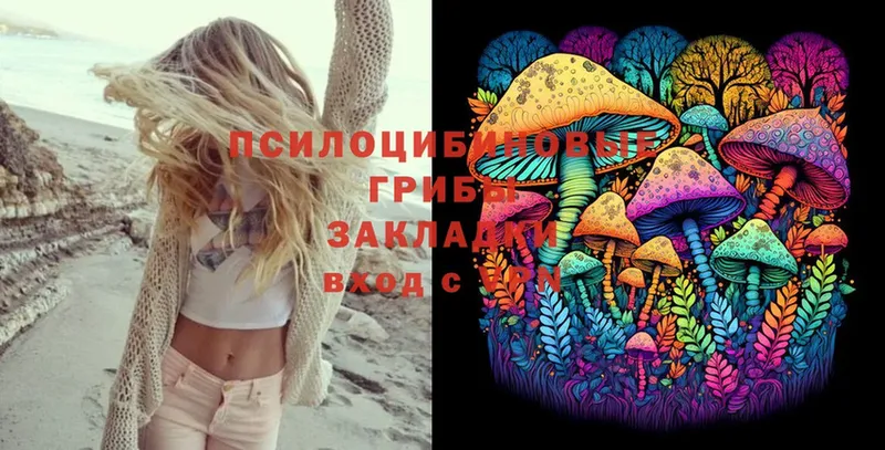 Псилоцибиновые грибы Psilocybe Олонец